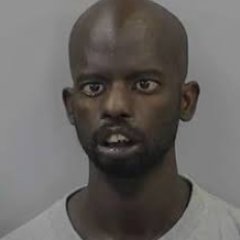 tatatmaca's profile picture. Gamma doppler / Emerald = dream