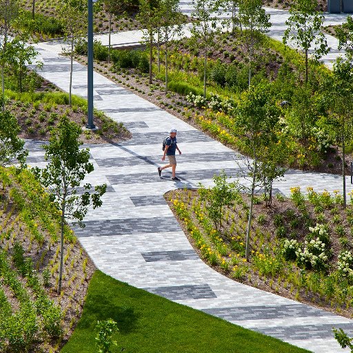 DAVID RUBIN Land Collective practices empathy-driven landscape architecture and urban design