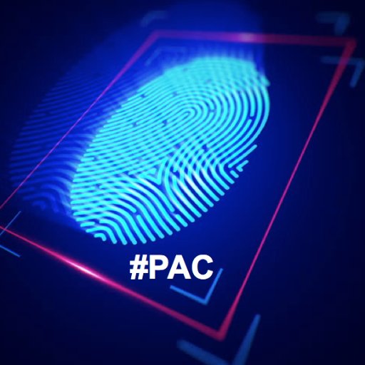 personaldatapac's profile picture. #PersonalData Action Committee or #PAC is focused on delivering equity in the economy's productivity to the people to contribute their #IntrinsicValue via data.