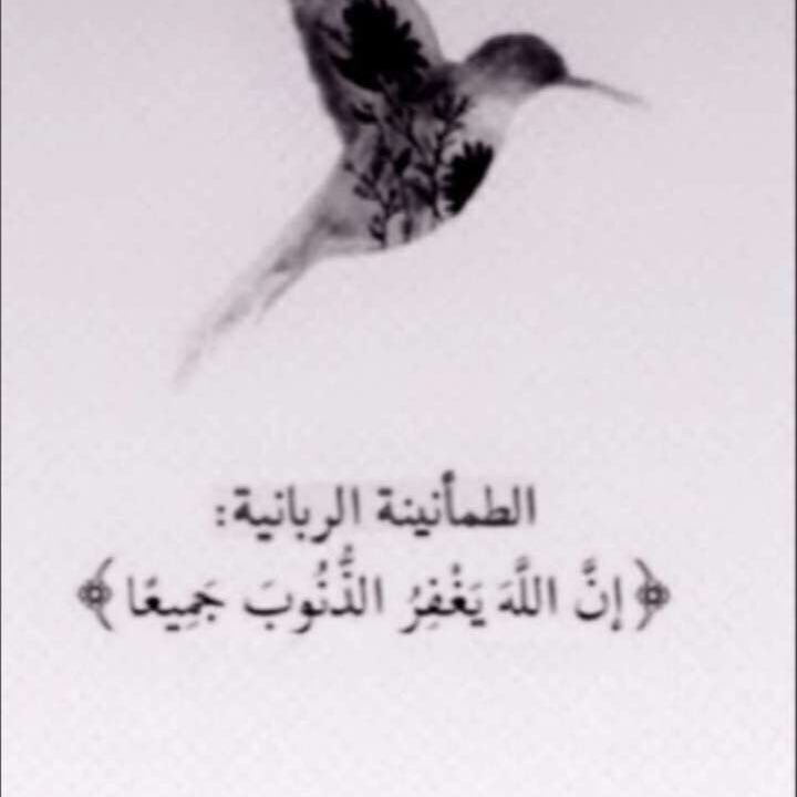طالب جامعي في كلية الهندسة .. #متذوق_لشعر