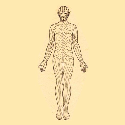 Home of M.U.S.T.A.R.D.
Clinical, therapeutic and genetic research on skin mosaicism in Dijon 🇫🇷
https://t.co/G2OptBGWA4