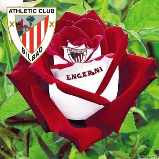 sobanilla59's profile picture. Regala sonrisas como si te sobrarán. (Nací para quererte, vivo para seguirte "BETI ZUREKIN"