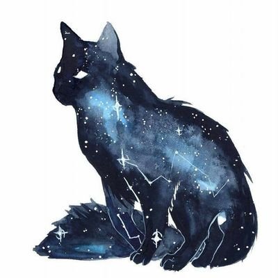 apiem_paty's profile picture. Wubba lubba Dub dub!