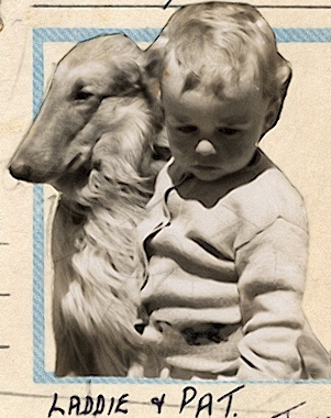 Filmmaker: A Celebration of Creation - Animal Blessings, love animals.