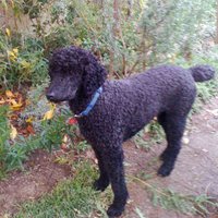 LKLKLK (@ewk_altadena) 's Twitter Profile