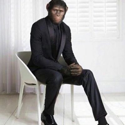 MichaelNgirozi's profile picture. economic crisis consultant