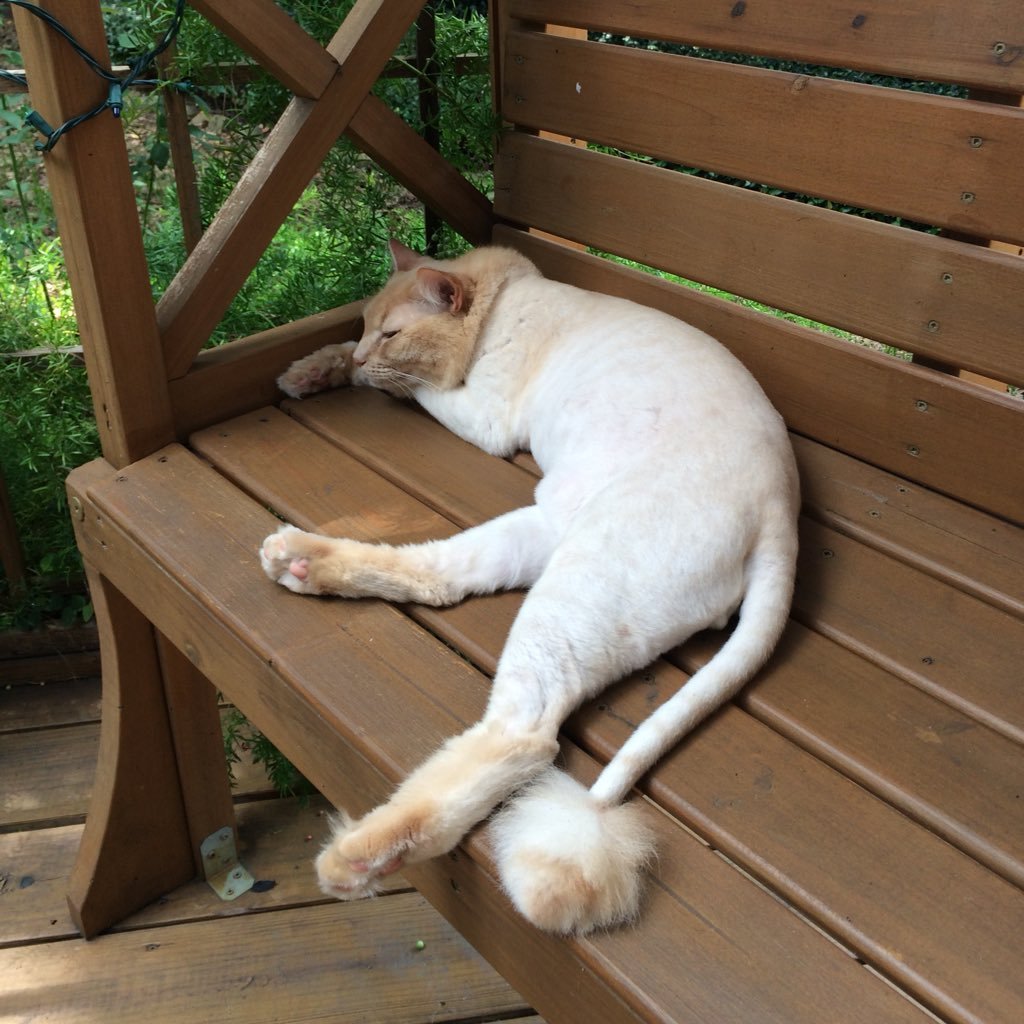 1JacekOsa2's profile picture. 