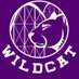 Wildcat Coasters (@WildcatCoasters) Twitter profile photo