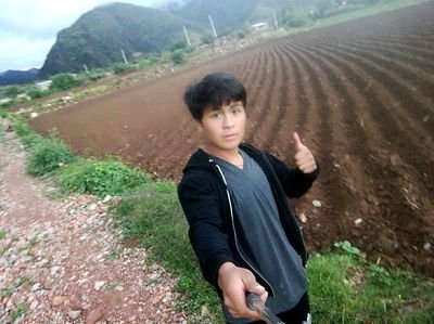 EmersonHaruto's profile picture. La locura de mi vida