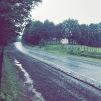 Taghreed💕 (@s00_nice) 's Twitter Profile Photo