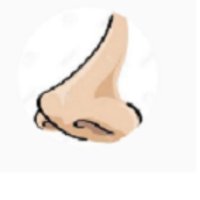 who nose epic branding (@brozozbranding) 's Twitter Profile