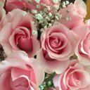diane hutt - @dhutt68 - Twitter
