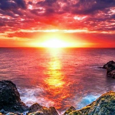 Mayameir5's profile picture. Love music,art,history and life.