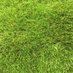 TEST (@groundsmanship) Twitter profile photo TEST (@groundsmanship) Twitter profile photo