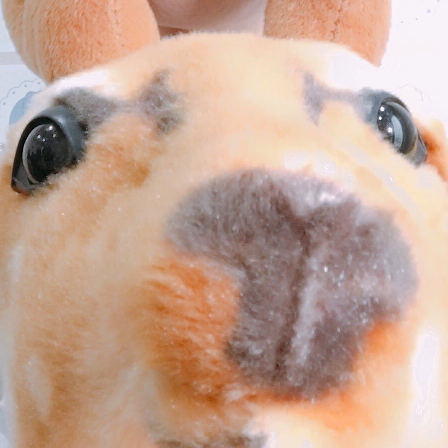 まえまえさんのプロフィール画像