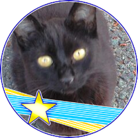 猫 (@necopuchico) Twitter profile photo