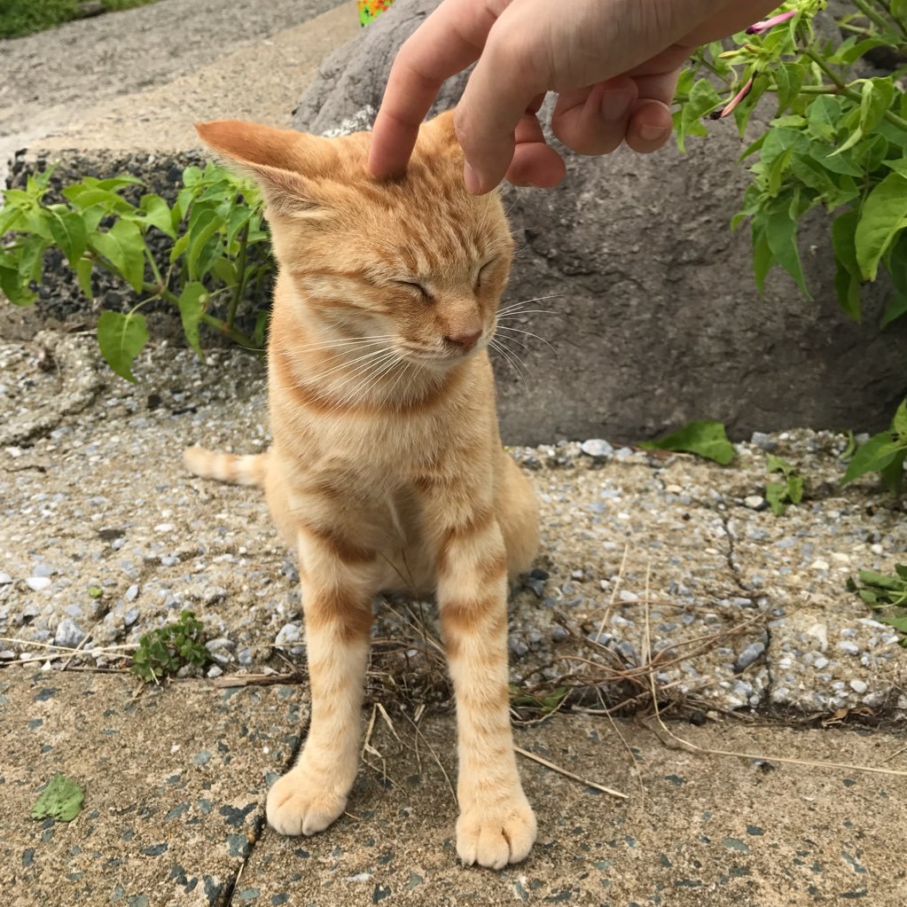 zizipopopo's profile picture. 