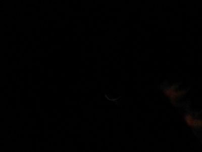 SergioSenriro's profile picture. 