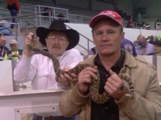 Bro1taz's profile picture. 