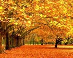 Walk like you are the king OR walk like you don’t care ,who the king is.