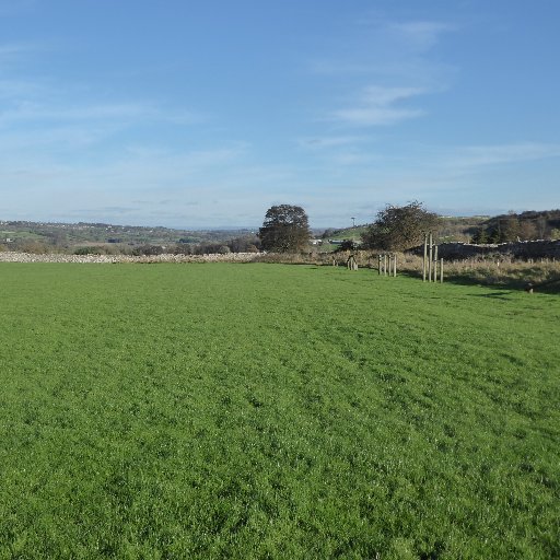 WittonField's profile picture. A playing field and pavilion in a small Wensleydale village. 3 miles from Leyburn.   For functions and camping. Great pub, views and walks