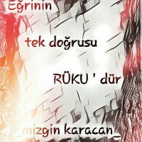 Mizgin Karacan (@mizgin_312) 's Twitter Profile Photo