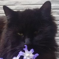 唯依♂ (@m_takanori_m) 's Twitter Profile