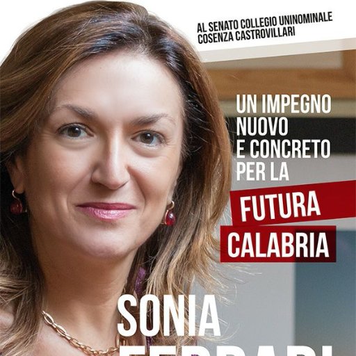Docente di Marketing del Turismo e Marketing Territoriale presso l’UNICAL. Dal 2014 commissario straordinario del Parco Nazionale della Sila.