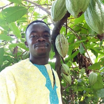 SeverinAmon's profile picture. Humour