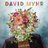 David Myhr