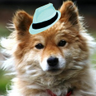 ame_syu's profile picture. 庶民です。

権力の悪を批判するのが「左」なら、私は、左です。税金は国民のもの。国会も開かず勝手に使うな！戦争・原発のない日本に。徴兵制などもってのほか。消費税は廃止すべき。憲法９条護れ。緊急事態条項反対。心に響く方だけフォローします。了解得ませんがお許しください。