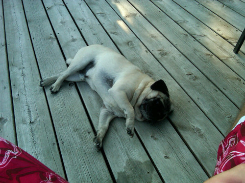 tjb1020's profile picture. 