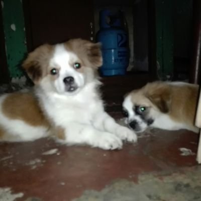 lgmacasu's profile picture. 