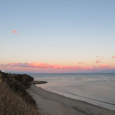 hanakonikoru's profile picture. 