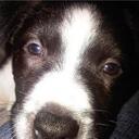 patsy moss - @patsypuddles - Twitter