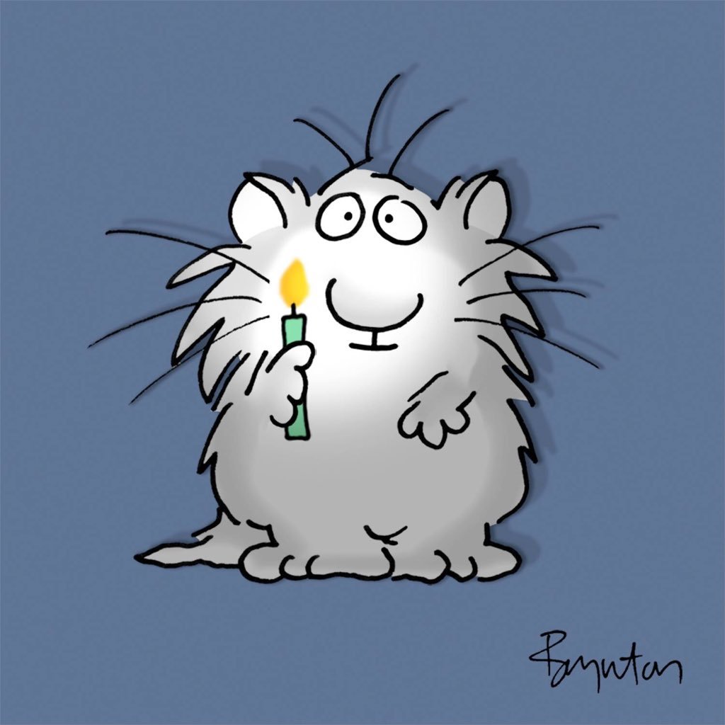 anniebobannie29's profile picture. 