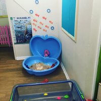 The Play Factory(@playfactoryldn) 's Twitter Profile Photo