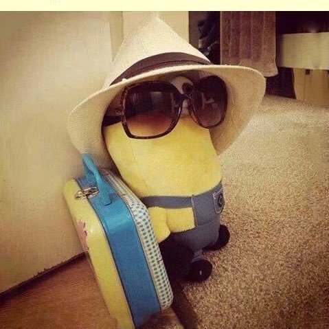 trauma76er's profile picture. On a journey that I'm loving! Happily married to my best friend and soul mate! Living this life to its fullest!