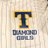 DiamondGirlsTHS's profile image