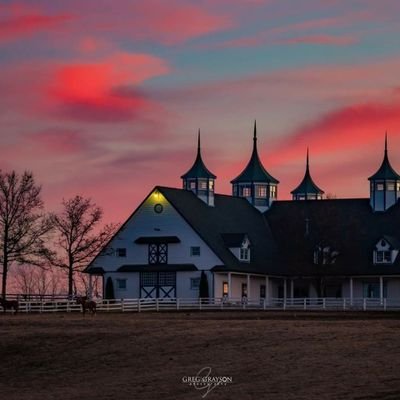 lovemysportsUK's profile picture. 