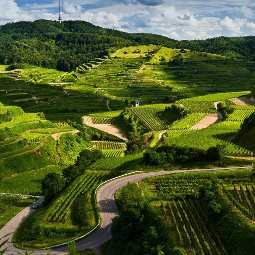 MotivationQ12's profile picture. Thank you for following Motivation Quotes