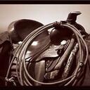 David Allenson - @CatAdjusterDave - Twitter