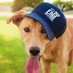 Enid Animal Shelter (@enidanimals) Twitter profile photo Enid Animal Shelter (@enidanimals) Twitter profile photo