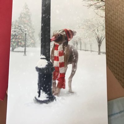 TMacker8's profile picture. short - long term investor asx