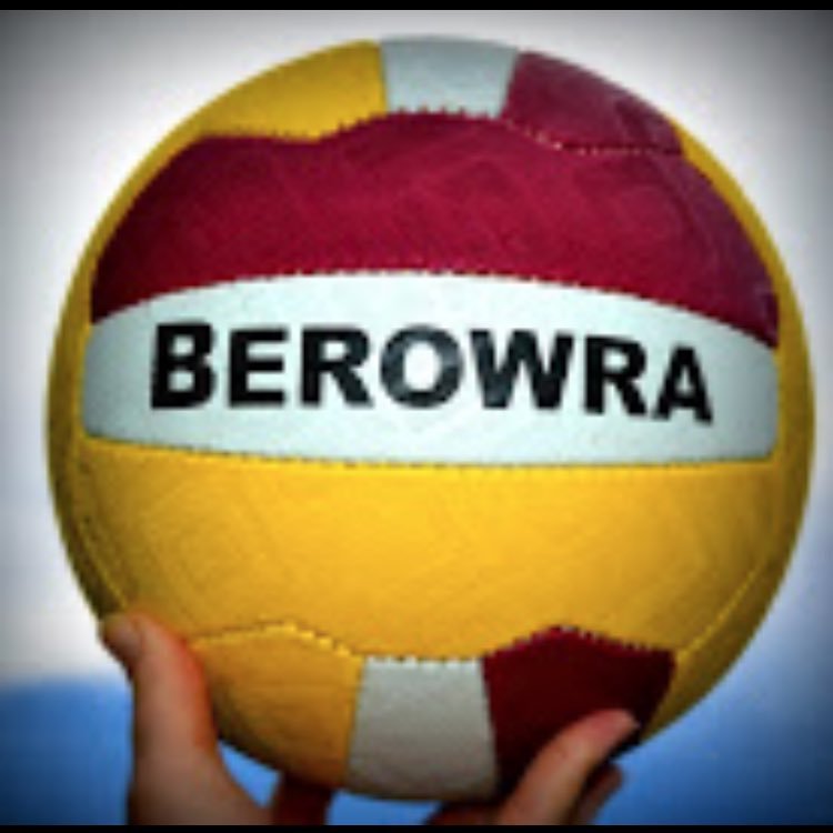 Berowra_Netball's profile picture. 