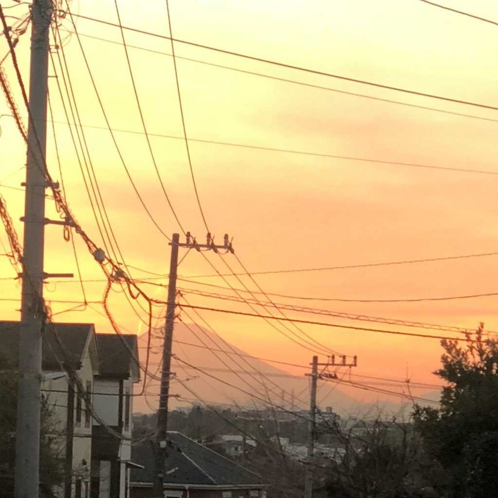 rikariri4638's profile picture. tus 数学科