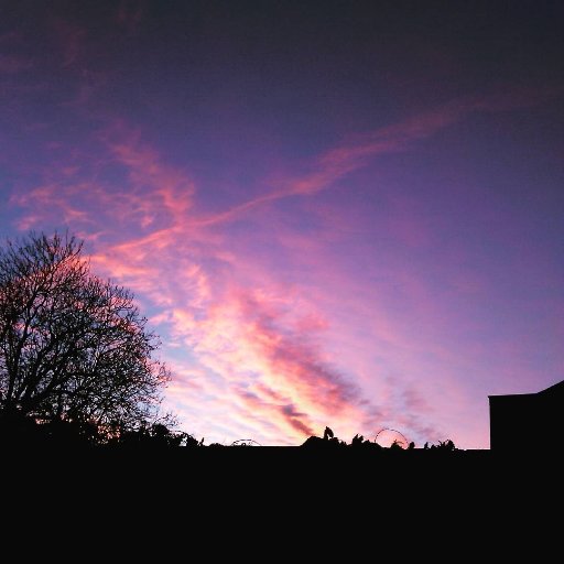 indianablue222's profile picture. 