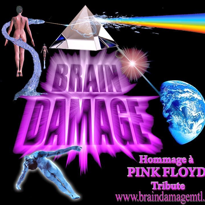 BRAIN DAMAGE est une équipe de 9 musiciens de talent et passionnés qui reproduisent l’œuvre musicale de PINK FLOYD