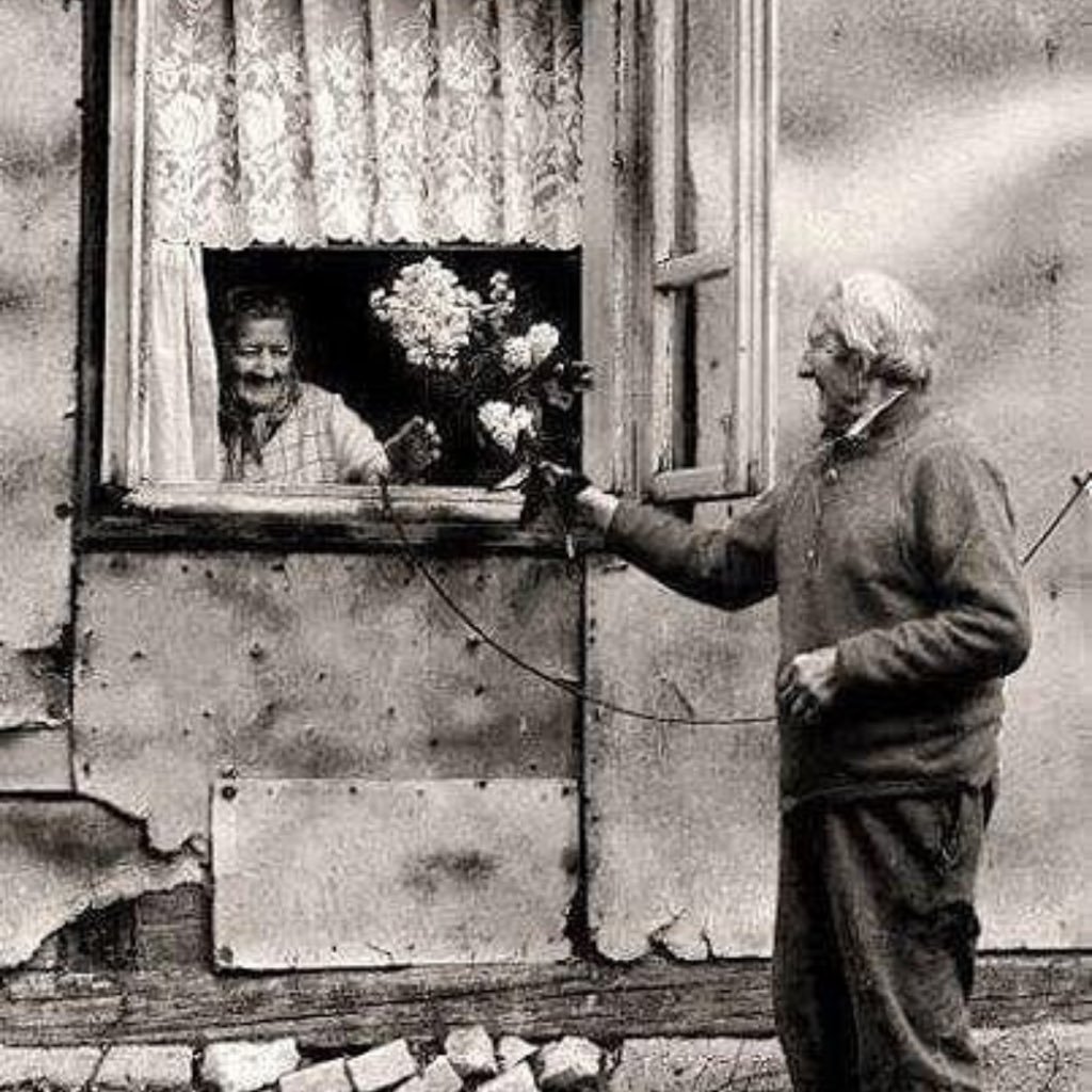 fnurgenc's profile picture. öncelik doktorluk degil kulluk☝