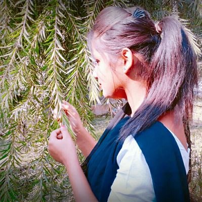 অচিন পখীহৈ উৰি ফুৰিচো মোৰ মনৰ আকাশত🍁🕊